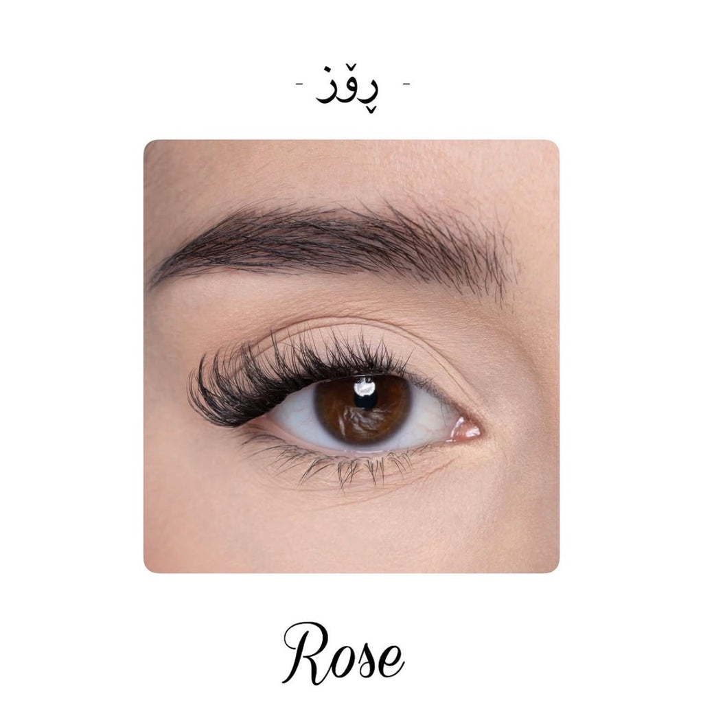 Rose - ڕۆز