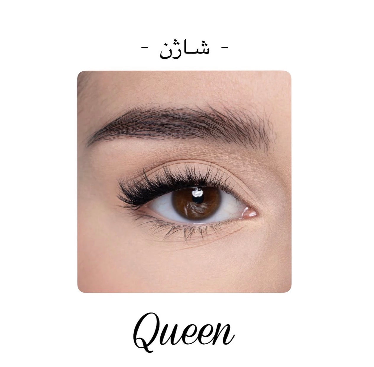 Queen- شاژن