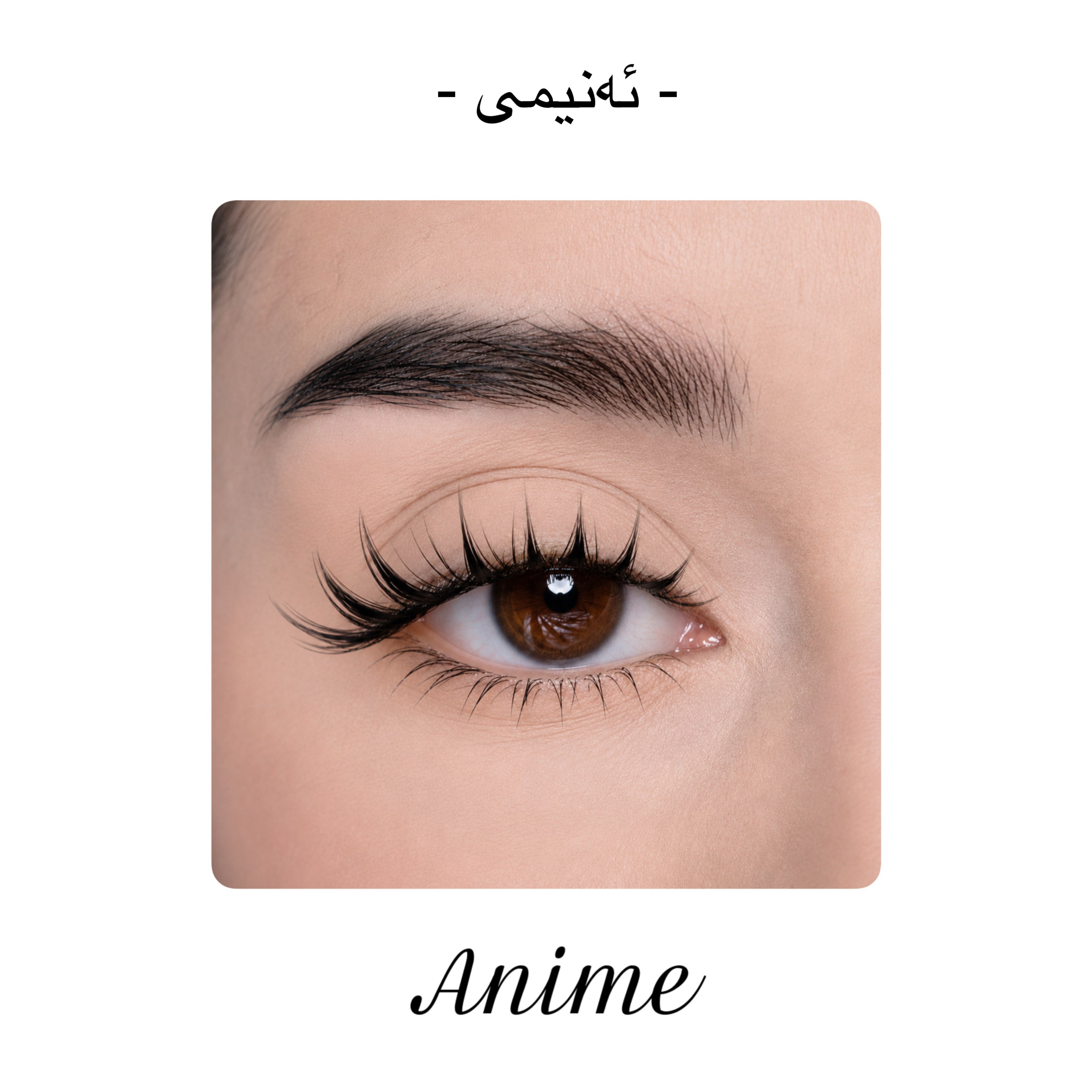 Anime - ئەنیمی